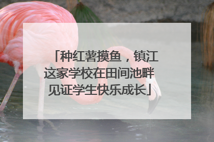 种红薯摸鱼，镇江这家学校在田间池畔见证学生快乐成长