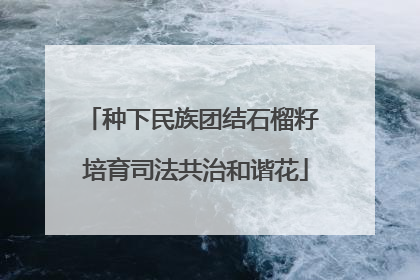种下民族团结石榴籽 培育司法共治和谐花