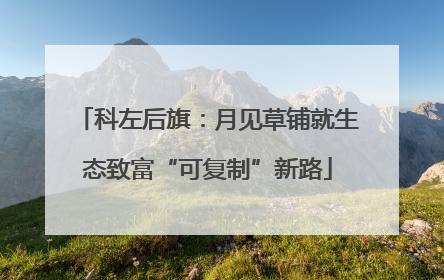 科左后旗：月见草铺就生态致富“可复制”新路