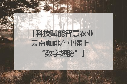 科技赋能智慧农业 云南咖啡产业插上“数字翅膀”