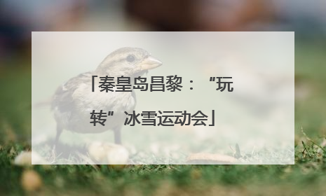 秦皇岛昌黎：“玩转”冰雪运动会