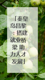 秦皇岛昌黎：搭建就业桥梁 助力人才发展