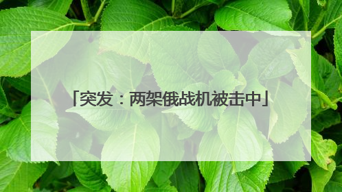突发：两架俄战机被击中