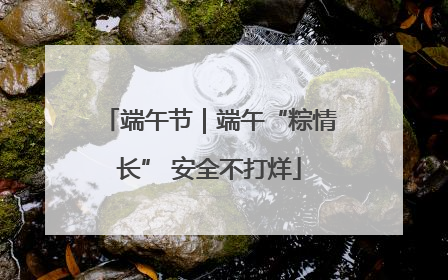 端午节｜端午“粽情长” 安全不打烊