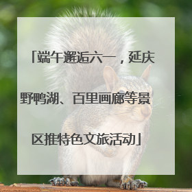端午邂逅六一，延庆野鸭湖、百里画廊等景区推特色文旅活动
