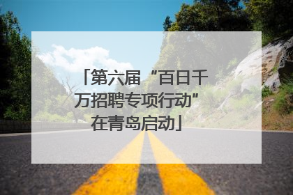 第六届“百日千万招聘专项行动”在青岛启动