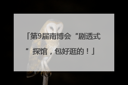 第9届南博会“剧透式”探馆，包好逛的！