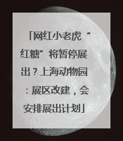 网红小老虎“红糖”将暂停展出？上海动物园：展区改建，会安排展出计划