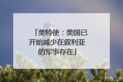 美特使：美国已开始减少在叙利亚的军事存在