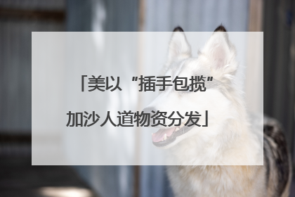 美以“插手包揽”加沙人道物资分发