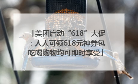 美团启动“618”大促：人人可领618元神券包 吃喝购物均可即时享受