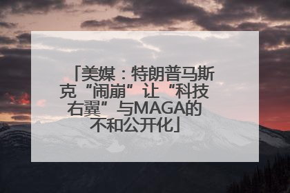 美媒：特朗普马斯克“闹崩”让“科技右翼”与MAGA的不和公开化