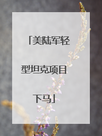美陆军轻型坦克项目下马