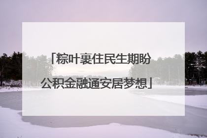 粽叶裹住民生期盼 公积金融通安居梦想