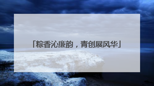 粽香沁廉韵，青创展风华
