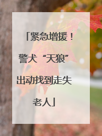 紧急增援！警犬“天狼”出动找到走失老人