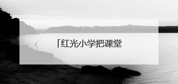 红光小学把课堂搬到了麦田里