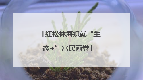 红松林海织就“生态+”富民画卷