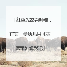 红色光影育师魂，宜宾一曼幼儿园《志愿军》观影记