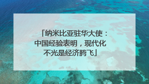 纳米比亚驻华大使：中国经验表明，现代化不光是经济腾飞