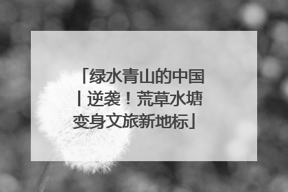绿水青山的中国丨逆袭！荒草水塘变身文旅新地标