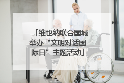 维也纳联合国城举办“文明对话国际日”主题活动
