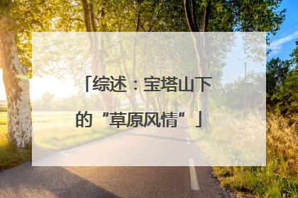 综述：宝塔山下的“草原风情”