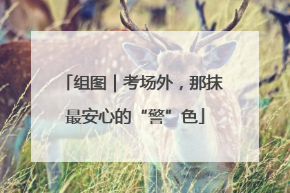 组图｜考场外，那抹最安心的“警”色