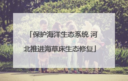 保护海洋生态系统 河北推进海草床生态修复