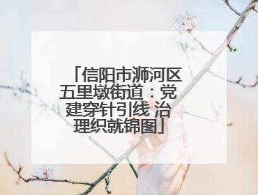 信阳市浉河区五里墩街道：党建穿针引线 治理织就锦图