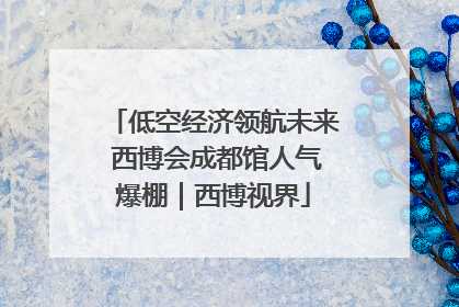 低空经济领航未来 西博会成都馆人气爆棚｜西博视界