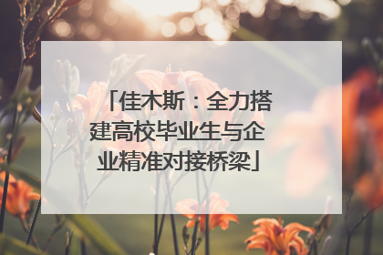 佳木斯：全力搭建高校毕业生与企业精准对接桥梁