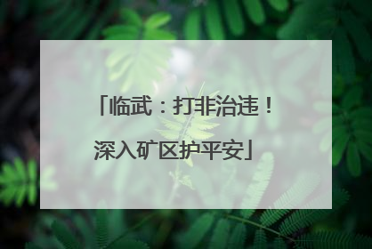 临武：打非治违！深入矿区护平安
