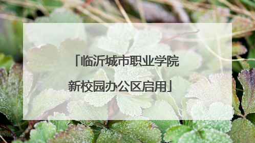 临沂城市职业学院新校园办公区启用