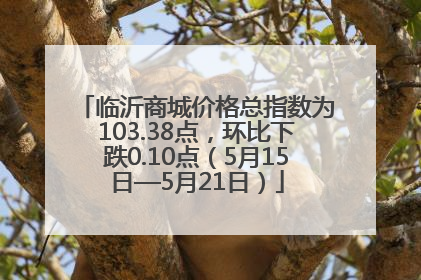 临沂商城价格总指数为103.38点，环比下跌0.10点（5月15日—5月21日）