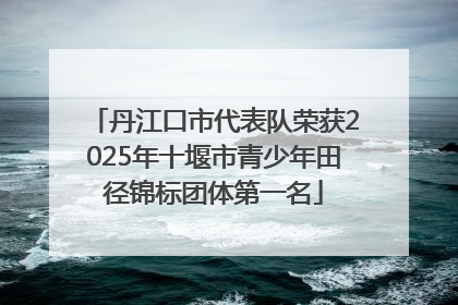 丹江口市代表队荣获2025年十堰市青少年田径锦标团体第一名