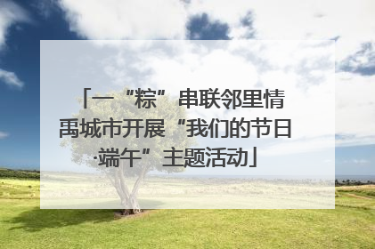 一“粽”串联邻里情 禹城市开展“我们的节日·端午”主题活动