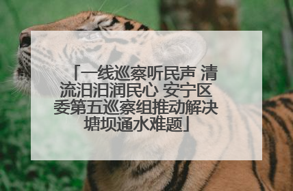 一线巡察听民声 清流汨汨润民心 安宁区委第五巡察组推动解决塘坝通水难题