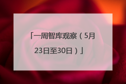 一周智库观察（5月23日至30日）