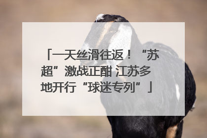 一天丝滑往返！“苏超”激战正酣 江苏多地开行“球迷专列”