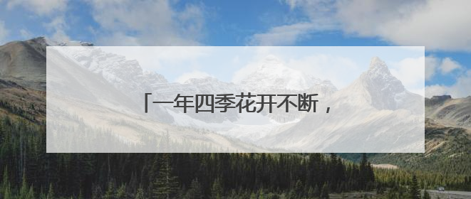 一年四季花开不断，三阳路“垂江绿廊”升级为“垂江花廊”