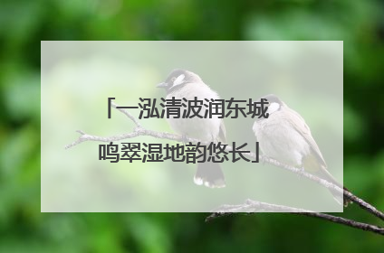 一泓清波润东城 鸣翠湿地韵悠长