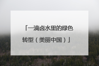 一滴卤水里的绿色转型（美丽中国）