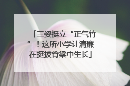 三姿挺立“正气竹”！这所小学让清廉在挺拔脊梁中生长
