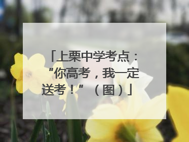上栗中学考点：“你高考，我一定送考！”（图）