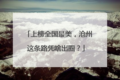 上榜全国最美，沧州这条路凭啥出圈？