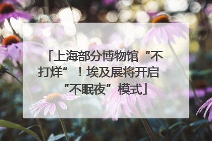 上海部分博物馆“不打烊”！埃及展将开启“不眠夜”模式