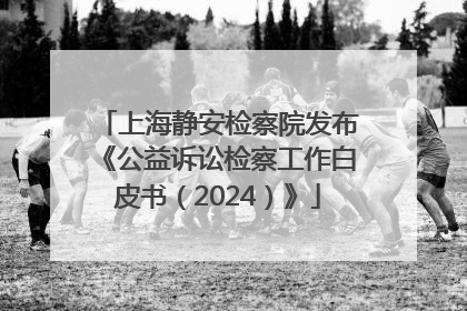 上海静安检察院发布《公益诉讼检察工作白皮书(2024)》