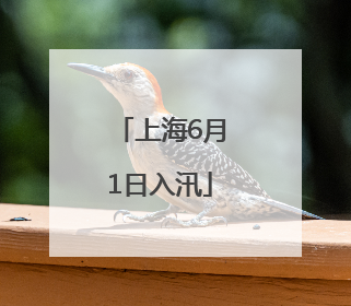上海6月1日入汛