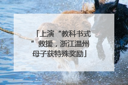 上演“教科书式”救援，浙江温州母子获特殊奖励